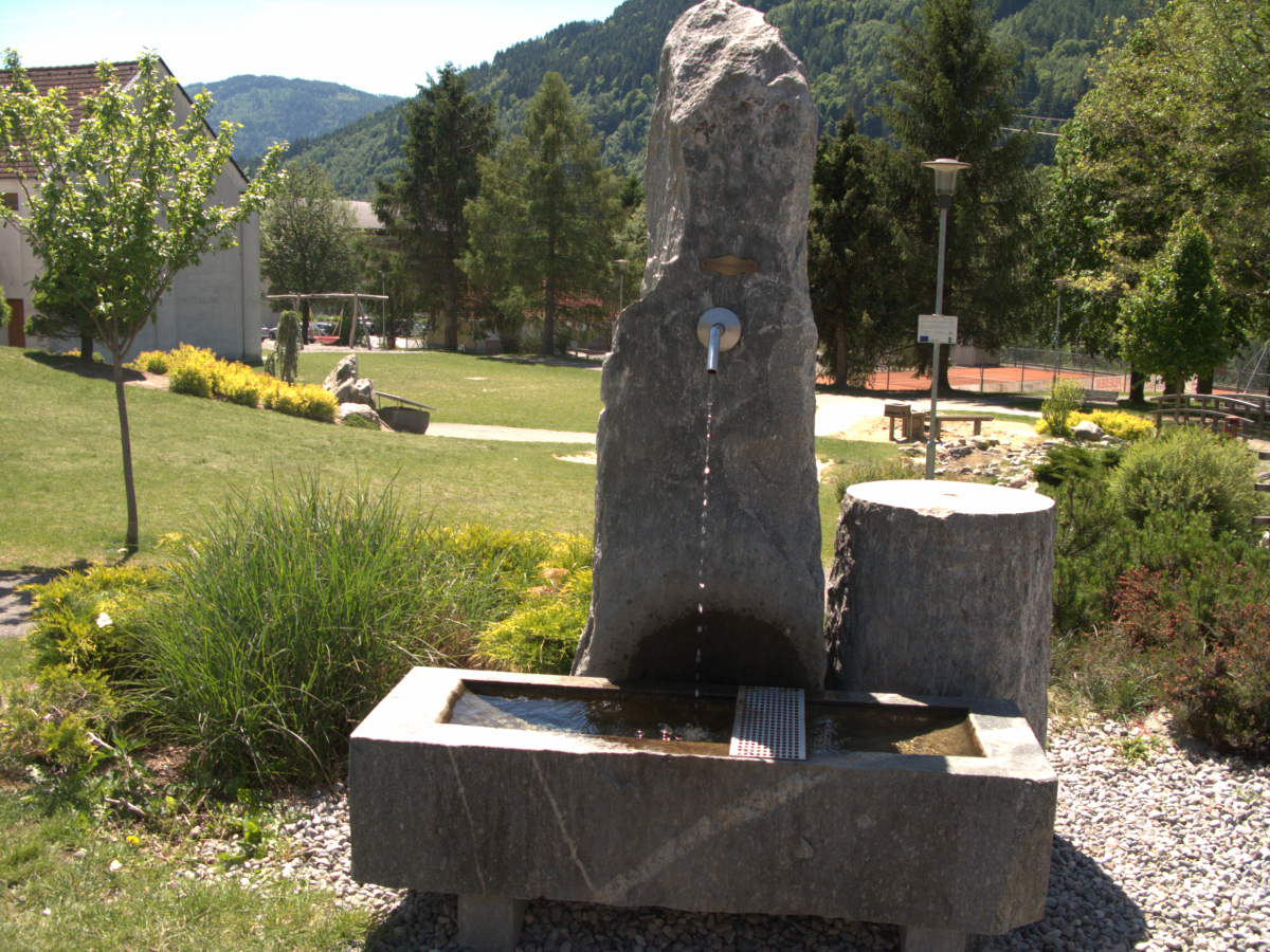 galfot025